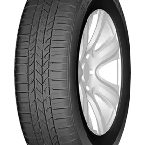 DOUBLE COIN DC-80+ 175/70R14