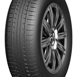 DOUBLE COIN DC-90 205/50R16