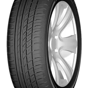 DOUBLE COIN DC-99 205/65R15