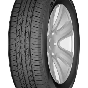 DOUBLE COIN DS-66 205/70R15