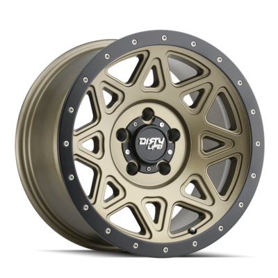 DIRTY LIFE THEORY Matte Gold Black Lip 17x9